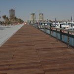 Lusail Marina, Qatar (1)